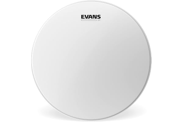 Evans B14ST Peau pour caisse ST 14"