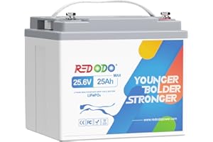 Redodo 24V 25Ah Batterie Lithium,Batterie LiFePO4 avec Protection BMS 50A,Taux de Décharge élevé 2C,Puissance Continue de 1280W,640Wh Electricité pour Les Outils Electriques,Scoo