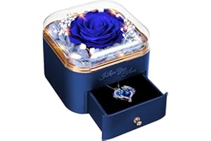 GOICC Ewige Rose Infinity Rosen mit Kette Konservierte Echte Rosen Schmuck Box Mama Oma Freundin Hochzeitstag Geburtstag Geschenke Für Frauen