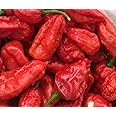 Fresh Ghost Peppers (Bhut Jolokia) Fresh Pods || Directly from Assam Farm (50g)