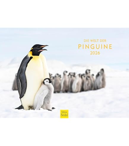 Edition Seidel Premium Kalender Dieren In Het Bos 2026 Formaat Din A4 Wandkalender Dierenkalender Bosdieren 667715