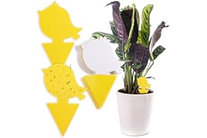 Chillife Trappola per moscerini I 30 trappole anti moscerini piante interno I Adesivi gialli efficaci ed ecologiche I fly catcher trap mosche antimoscerini I 3 motivi uccelli