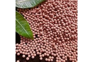 CORKWAW 2 lb Ceramsite Horticultural Clay Pebbles, 3mm-5mm Decorative ceramsite Balls for Plant Paving, for Plant pots, vase fillers, Clay Pebbles for Fish and Turtle Tanks