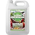 Elixir Gardens Liquid Growmore Concentrate | N.P.K 11-11-11 | 1-10 Litre Bottles Available | Vegetable, Fruit & Flower Food/Plant Fertiliser | 0.5 L Bottle - Makes up to 500L