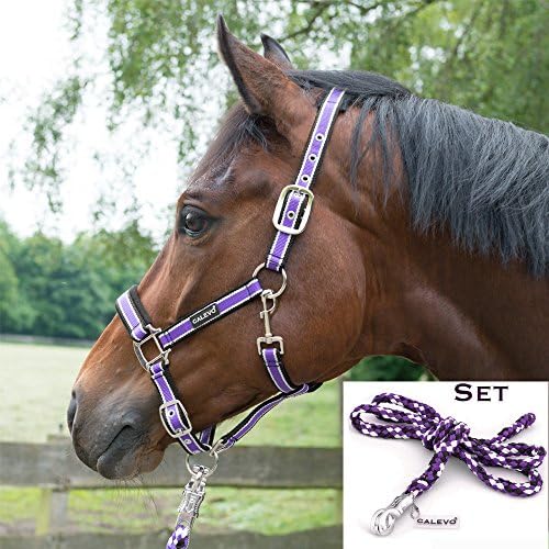 Calevo - head collar SET STRIPES