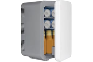 ARTETHYS Mini Fridge for Bedrooms 10L Small Car Fridge Mini Refrigerator with System Cooler and Warmer for Home Office, 220V AC/12V DC, Grey