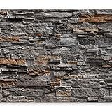 tapeten kaufen basel FARBEN: Lichtechte, geruchslose & wasserfeste Farben. Hohe Farbrillianz. Farben sind 100% unbedenklich für das Kinder & Schlafzimmer.