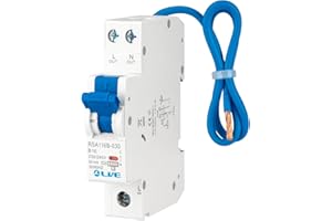W LAIWO LVE Type A Circuit Breaker RCBO Single Module,B Curve 30mA Current Circuit Protection，6kA Breaking Capacity (Type A-16mA)