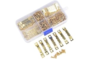 Ganci per Appendere Tele TIMESETL 100 Pezzi Gancio Foto per Cornice Oro, Ganci per Quadri Muro Aggancio Quadro con 200 Pezzi Viti per Gancio per Dente di Sega, Doppio Foro per Vite, Inossidabile
