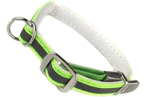 ALLRISE66 Collier pour Chat chien avec Cran de Sécurité bande reflechissante visible de nuit