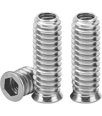 Gedotec Inschroefmoer M6 X 10 Mm – 100 Stuks Verzinkt Staal Met Afdekrand, Binnenzeskant, Voor Hout & Meubels