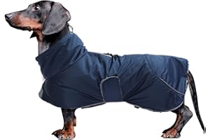 MOREZI Dachshund Coats Waterproof, Perfect for Dachshunds, Sausage, Weiner Dog Winter Coat with Padded Fleece, Puppy Snowsuit with Adjustable Bands and High Vis Reflective Trim - Navy - S