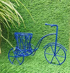 Amishi Blissful Decors Handicrafts Metal Home Decor Cycle Tricycle Rikshaw, Flower Pot Vases Home Decoration theam Party Decorations Christmas Decoration