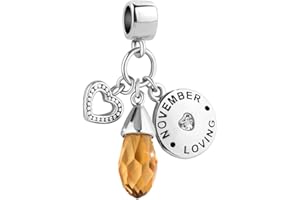 FGT Jan to Dec Birthday Birthstones Love Heart Crystal Dangle Charms Compatible with Pandora Bracelets for Women