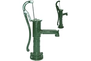 D&L 55916 AWZ Pompe à bras en fonte Vert