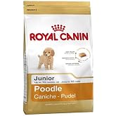 Royal Canin Poodle Puppy Yavru K&ouml;pek Maması-3 Kg