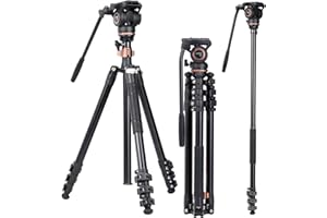Cayer AF2451 Treppiede video, videocamera in lega di alluminio da 74 pollici per Canon Nikon Sony Olympus Panasonic DSLR Digital SLR Camera
