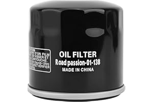 Road Passion 138 Filtre à huile HF138 Compatible avec Aprilia 857187,Arctic Cat 0436-146,0812-005,Kawasaki 52010-S005,Kymco 1541A-PWB1-900,Suzuki 16510-03G00-X07,16510-06B00,16510-06B01 (1 pièce)