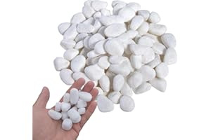 FEADBYT Galets de jardin polis - Grands galets polis - Pour l'aménagement paysager, la décoration de la maison, les projets artistiques - 4 à 8 cm - 1 kg (blanc, 2 à 4 cm)