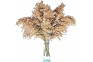 DANNYS RAPTURE LTD Danny Natural Dried Pampas Grass, 22 Pcs Grey Pampas Grass Large for Home Decor, 60 CM Dried Flowers, Boho Decor, Tall Natural Plant, Wedding Decorations