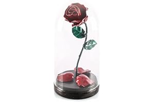Forging Art Bcn® Rosa Encantada Forjada a Mano en Cúpula de Cristal Bella y Bestia- Regalo Día de la Madre, Sant Jordi, San Valentín, Bodas de hierro (6 aniversario) (Rojo/Verde)