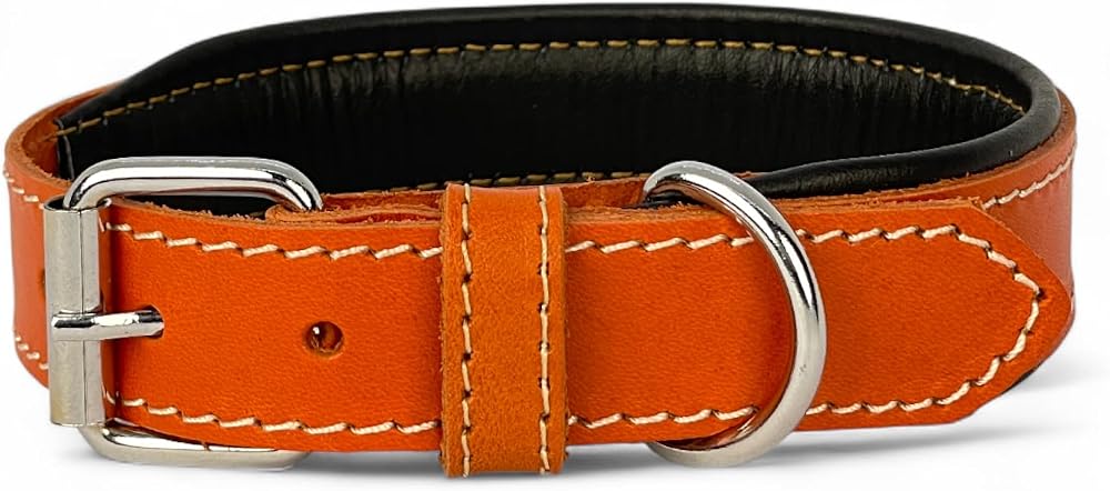 Canini Collar Rainbow S Hakiki Deri Orta & Küçük Köpek Tasması – S Beden, Orta ve Küçük Köpekler İçin Tasma, Yumuşak İç Deri, Krom Kaplamalı Toka & D-Halka, 10 Farklı Renk Seçenekleri (Oranj)