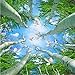 Price comparison product image Gwgdjk Custom Po Wall Mural Wallpaper 3D Ultra Hd Forest Sky Ceiling Fresco Wall Murals for Living Room Bedroom Home Decor Wallpaper-200X140Cm (80 * 56Inch)