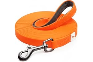 Rudelkönig Longe pour Chien 5m - Robuste et résistante aux intempéries - Longe avec poignée rembourrée - Laisse de Dressage pour Chien Pratique et Confortable