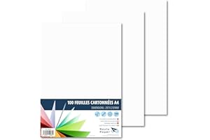 Raylu Paper – Papier Cartonné A4 Coloré, 100 Feuilles Cartonnées, Papier Epais de Couleur, pour l’Ecole, le Bureau, le Scrapbooking, les Activités Manuelles, 180g/m², 210 x 297 mm (Blanc)