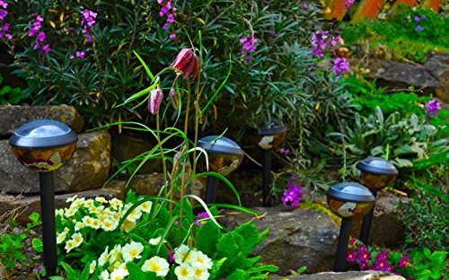 Gardensity Solarlampe Mini Tiffany, Garten-/Terrassenbeleuchtung, Set mit 8, bleihaltig, Glas-Stil - 6