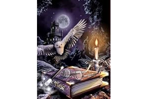 NAIMOER Diamond Painting Broderie Kit, Complet Peinture Diamant 5D Harry Canevas Diamant Point De Croix 30 x 40 cm, Taille unique Diamond Painting Adultes Home Wall Decor