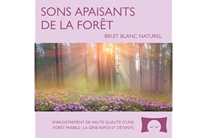 Sons apaisants de la forêt – Ambiance naturelle relaxante pour soulager le stress, méditer et créer un environnement paisible – Bruit blanc naturel