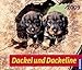Dackel und Dackeline 2009 by