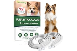PAISTELY Collare Antiparassitario Per Cani, Collare Antipulci Cane Sicuro Ed Efficace Composto Da Oli Essenziali Naturali Al 100%, Efficacia 12 Mesi 65cm Collari Antizecche Per Cani Di Tutte Le Taglie (65cm)
