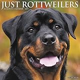 Just Rottweilers 2019 Wall Calendar (Dog Breed Calendar) by 