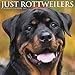 Just Rottweilers 2019 Wall Calendar (Dog Breed Calendar) by 