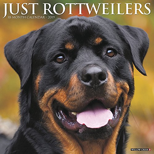 Just Rottweilers 2019 Wall Calendar (Dog Breed Calendar)