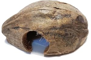 Reptiles Planet - Coco CASA - Cachette Naturelle en Noix de Coco pour Petits Animaux