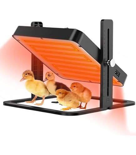 Complete Set 40 X 50 Cm Warmteplaat Drinkbak Voederautomaat Afdekking Drinkbakverwarmer
