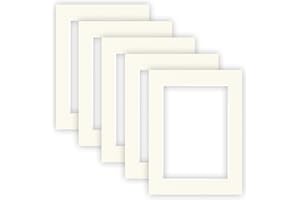 nielsen Conservation Cartoncino Passepartout 1,5 mm, set di 5, formato esterno 30x40 cm per formato immagine 20,5x29,5 cm (A4), bianco avorio liscio