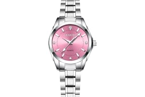 aswan watch Orologio Analogico al Quarzo Donna con Cinturino in Acciaio Inossidabile,Orologio da Donna Classico ed Elegante con Quadrante Decorato con Diamanti,Lancette Luminescenti,Cassa da 29.5MM