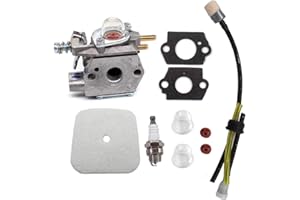 AISEN Carburetor with Air Filter for Echo Walbro WT-424 WT-424C PPT2400 GT-2400 PP-1250 SRM-2450