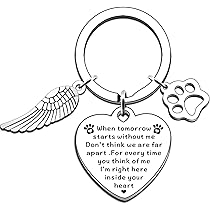 Portachiavi Commemorativo Per Gatti - Ricordo Per Amanti Degli Animali