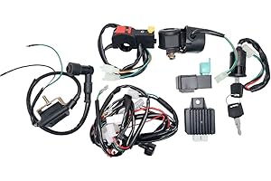 Baceyong Full Electric Wiring Harness Coil for 50cc 70cc 90cc 110cc 125cc PIT Quad Dirt Bike ATV D-une B-uggy, Quad Wiring Harness with Rectifier Ignition Key and Coil CDI Unit Kill Switch Solenoid