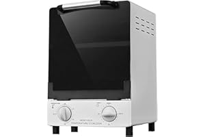 HENLIVY Esterilizador de alta temperatura, esterilizador de calor seco de gran capacidad de 10 litros, temperatura máxima de 250 °C, con control de temperatura y temporizador, para peluquería, spa, salón de