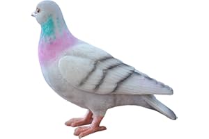 Vivid Arts- British Birds- réaliste pigeon Résine Ornement