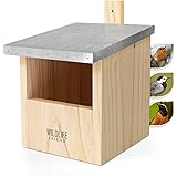 WILDLIFE FRIEND | Nistkasten mit Metalldach aus Massivholz für Rotkehlchen & Halbhöhlenbrüter - 100% Wetterfest – Halbhöhle f