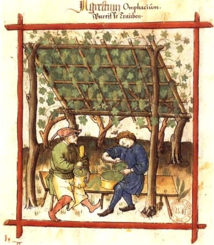 Verjus Royal Verjus Royal