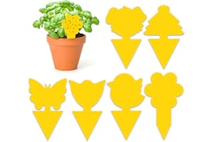 GRTHTATI 60 Pieces Anti Moucherons Interieur - Attrape Moucheron Plantes - Piege a Moucherons Cuisine - Très Efficace et Facile à Utiliser