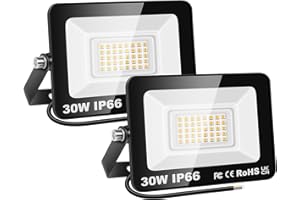 SKYWORLD 2 Pcs Projecteur LED Extérieur 30W 3000LM 3000K Blanc Chaud Spot LED Eclairage IP66 Étanche Projecteur Extérieur Eclairage de Sécurité Floodlight pour Jardin, Patio, Garage, Entrée